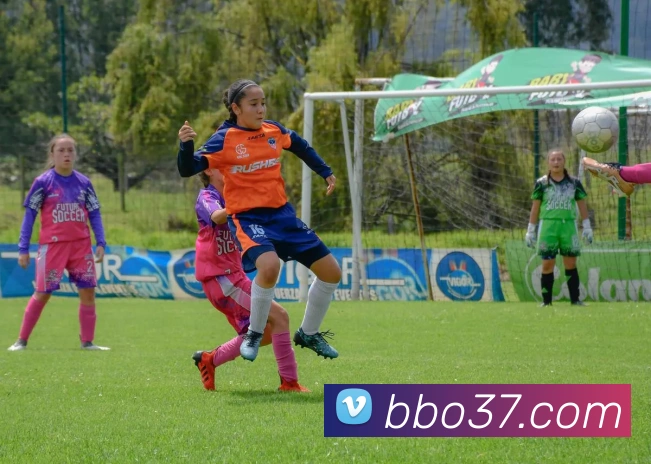 必博bibo发展历程